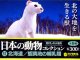 カプセルQミュージアム 日本の動物コレクションVI北海道/蝦夷地の哺乳類